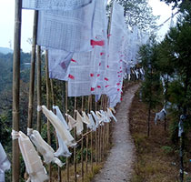 rinchenpong monastery